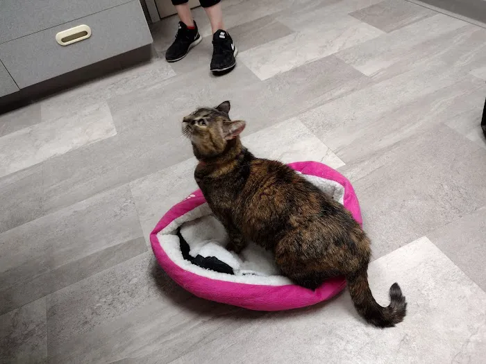 Animal Medical Center of Wyoming 12