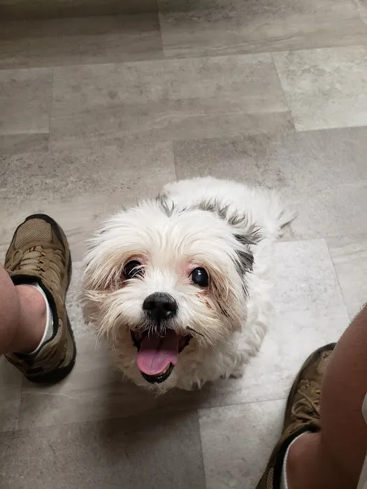 Animal Medical Center of Wyoming 12
