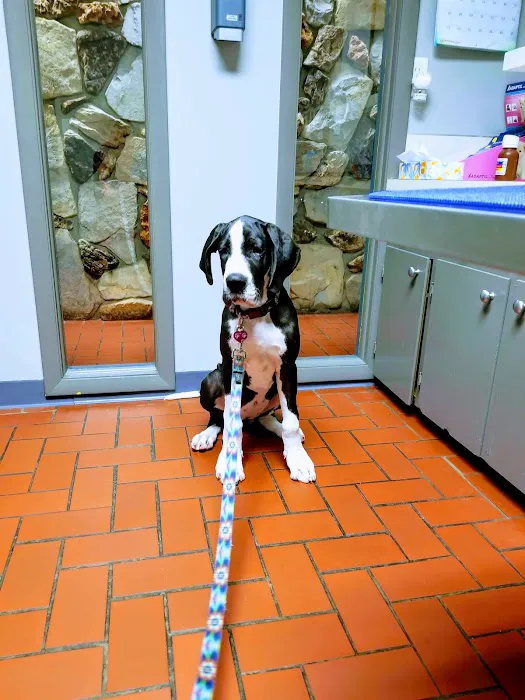 Wyoming Animal Hospital 12