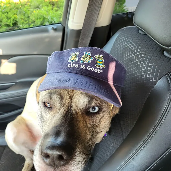 Wyoming Animal Hospital 12
