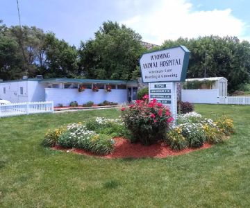 Wyoming Animal Hospital