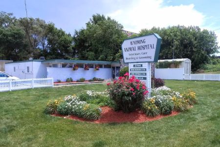 Wyoming Animal Hospital