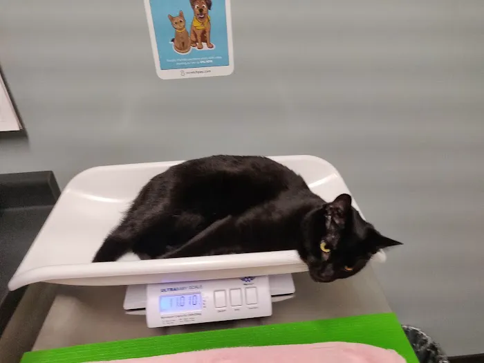 Wealthy Street Animal Hospital 12