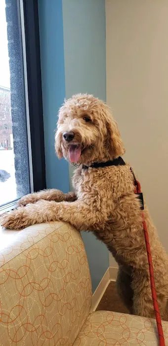 Eastown Veterinary Clinic 12