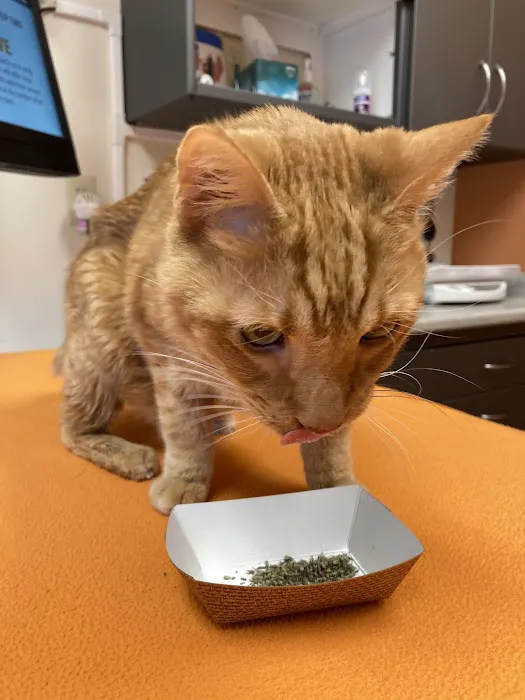 Eastown Veterinary Clinic 12