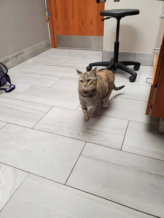 Breton Village Animal Clinic 12