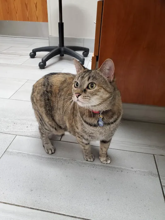 Breton Village Animal Clinic 12