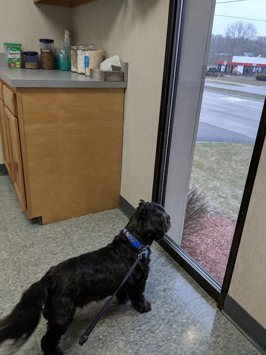 Kentwood Veterinary Clinic 1