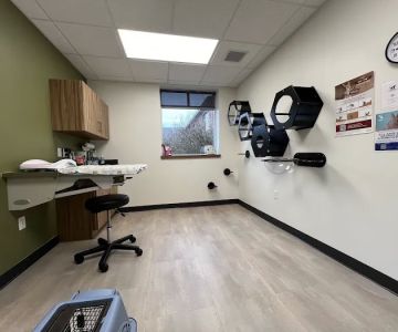 Wholehearted Veterinary Care