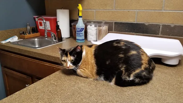 Blue Lake Animal Hospital 3