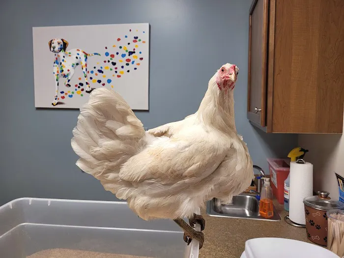 Blue Lake Animal Hospital 5