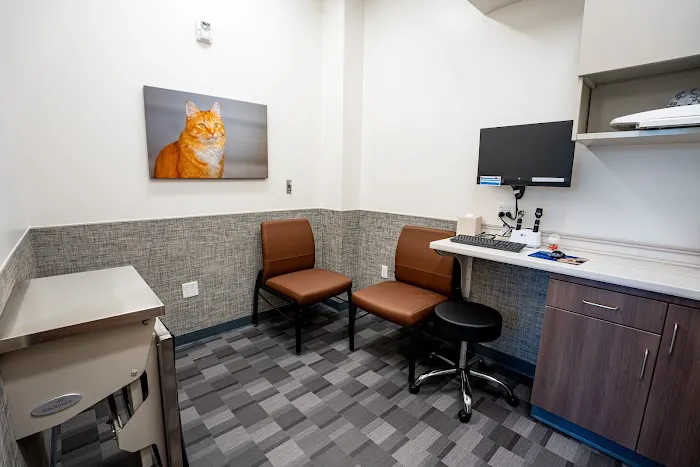 VCA Knapp's Corner Animal Hospital 4