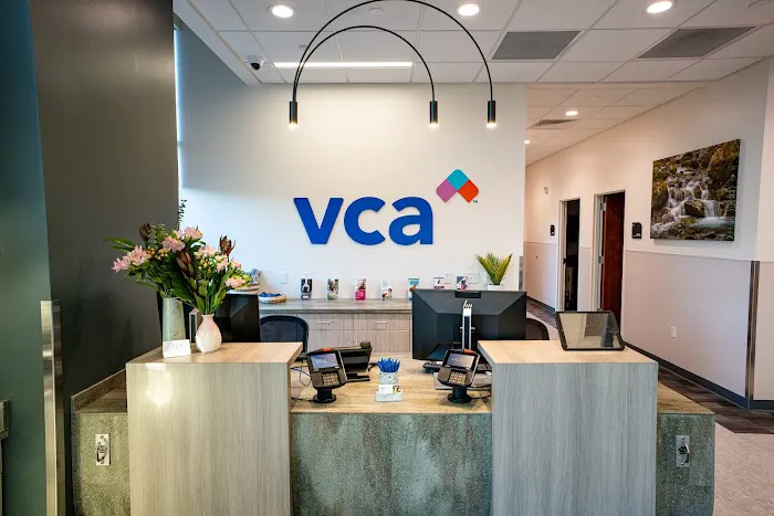 VCA Knapp's Corner Animal Hospital 6