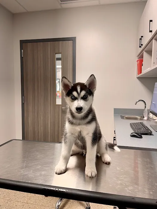 Plymouth Road Animal Clinic 12