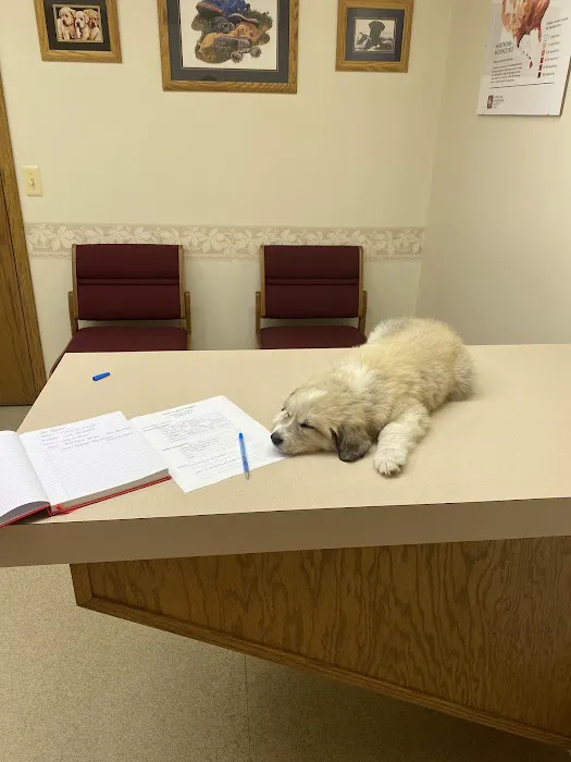 Animal Care Hospital 12