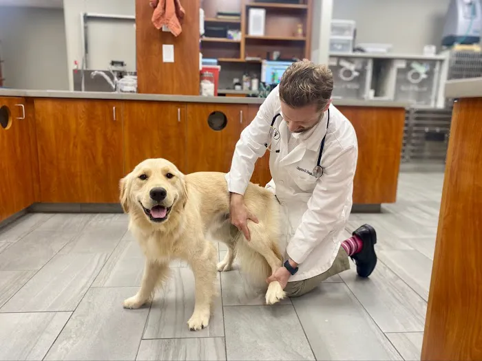 Cascade Hospital for Animals 12