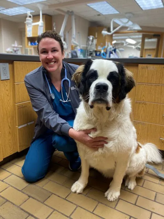 Cascade Hospital for Animals 12