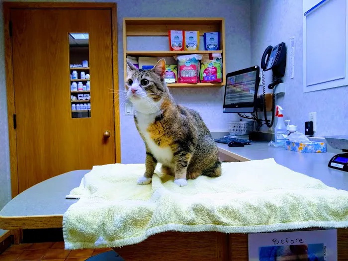 Cascade Hospital for Animals 12