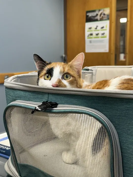Great Lakes Hospital for Animals 12