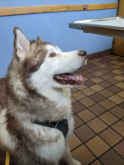 Great Lakes Hospital for Animals 12