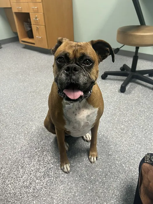 Pomona Park Animal Urgent Care 3