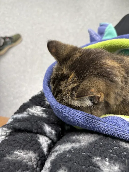 Pomona Park Animal Urgent Care 1