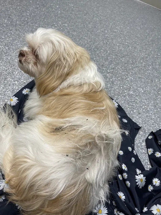 Pomona Park Animal Urgent Care 10