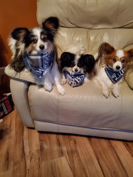 Fruitport Animal Hospital 2
