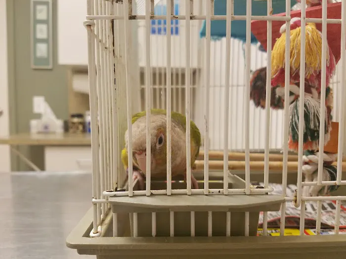 Fruitport Animal Hospital 9