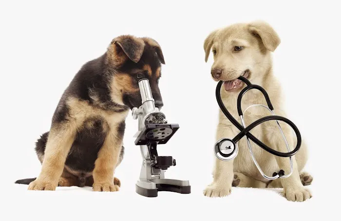 Dunstan Animal Care Clinic 1