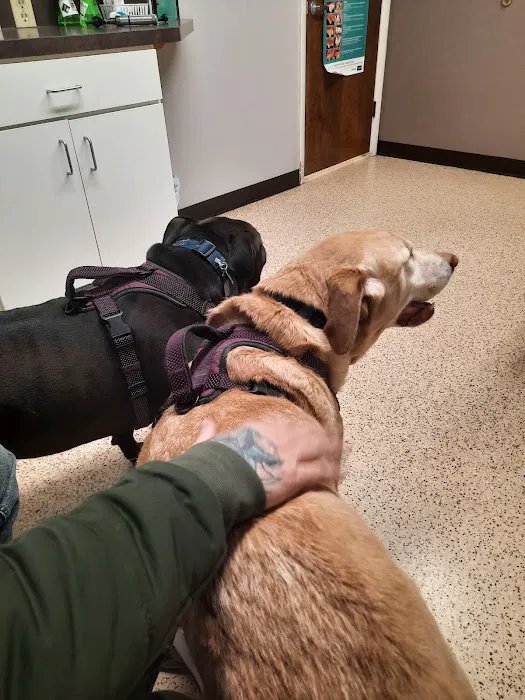 Faith Animal Care 6