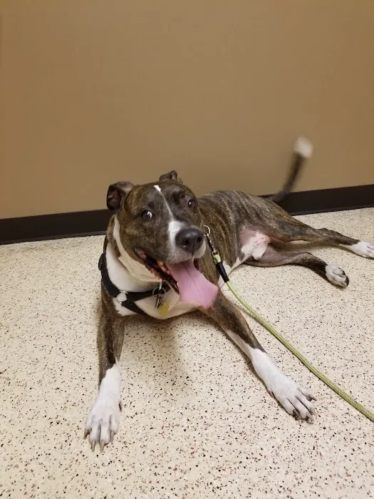 Faith Animal Care 8