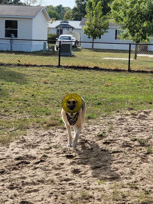 Faith Animal Care 10