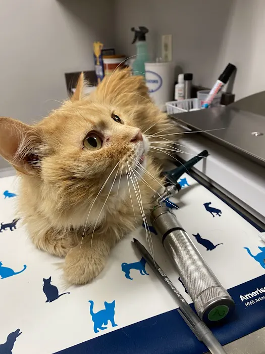 Faith Animal Care 9