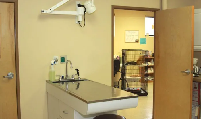 Glenpark Animal Hospital 5