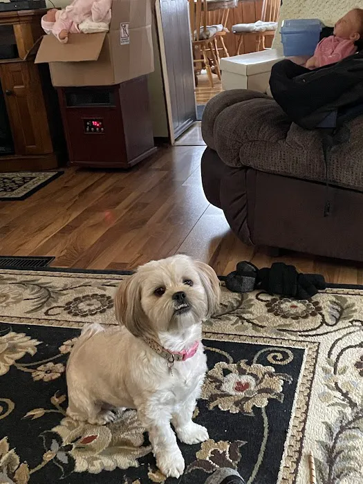 Animal Clinic of Muskegon 1