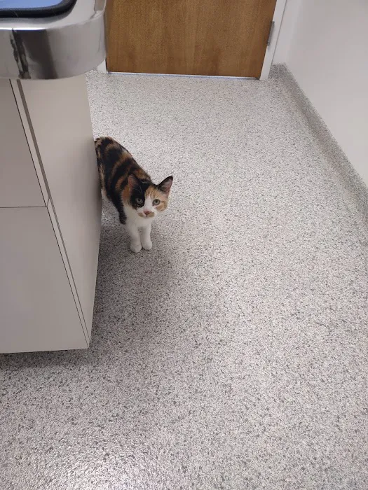 Animal Clinic of Muskegon 9