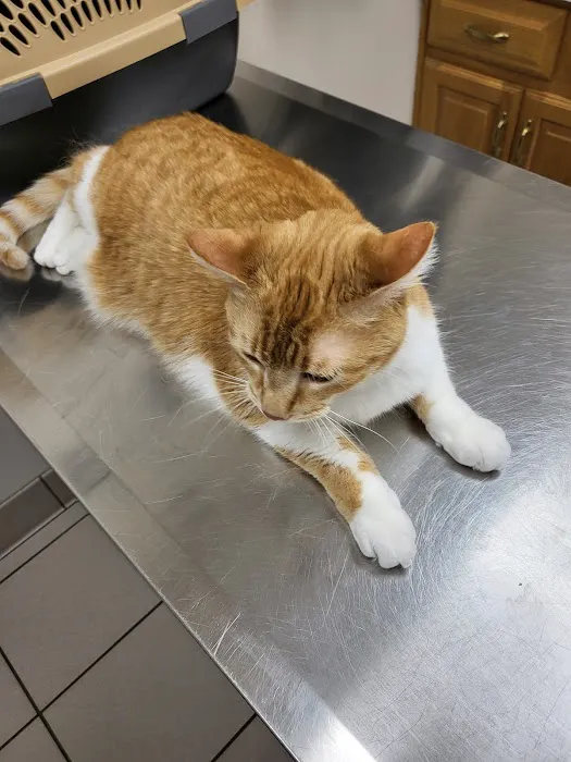 Northside Veterinary Hospital 2