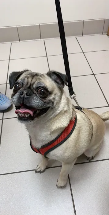 Northside Veterinary Hospital 9