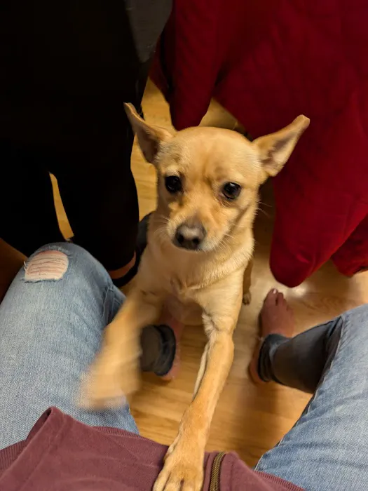 Northside Veterinary Hospital 10