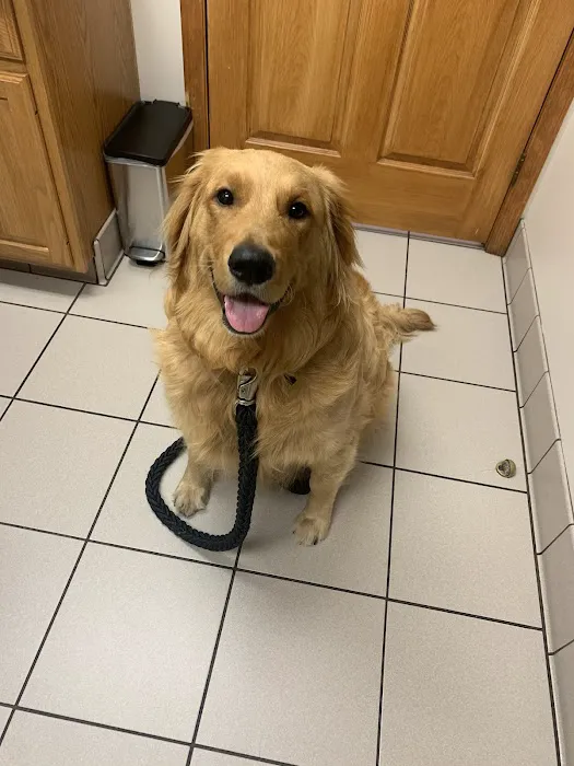 Northside Veterinary Hospital 8