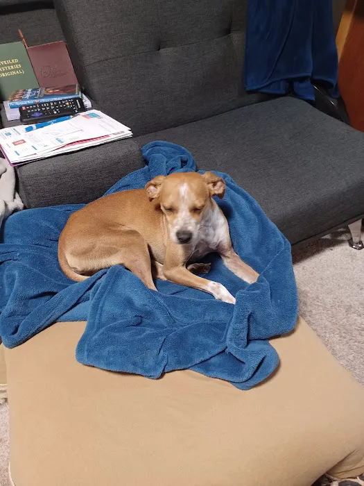 Northside Veterinary Hospital 7