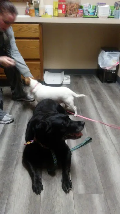 Big Lake Community Animal Clinic 6