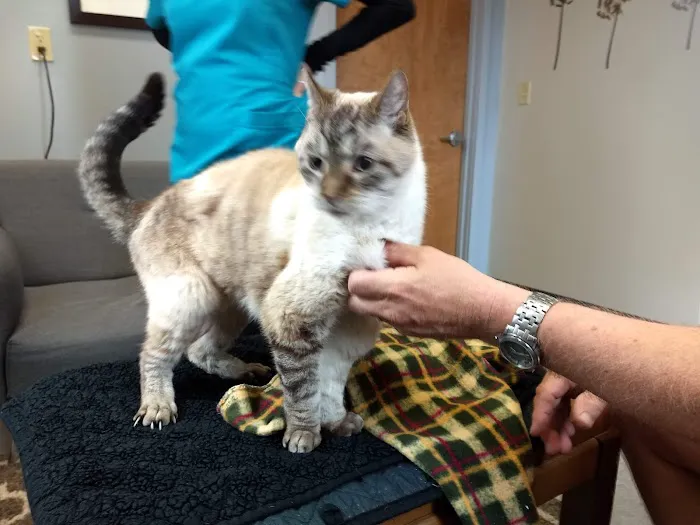 Newaygo Veterinary Services 3