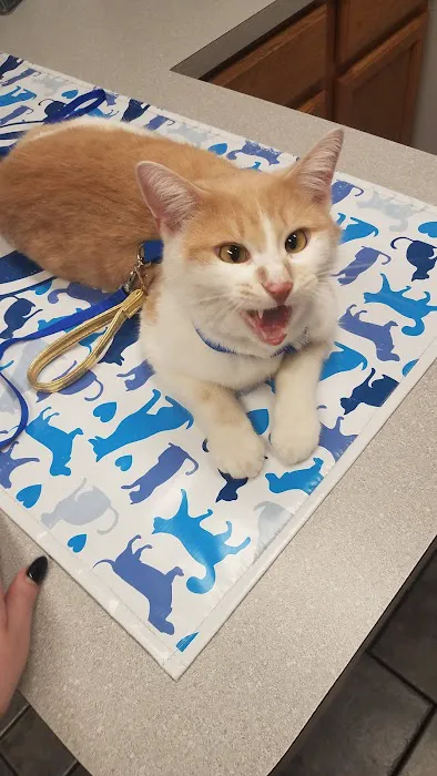 Lakeshore Animal Hospital 6
