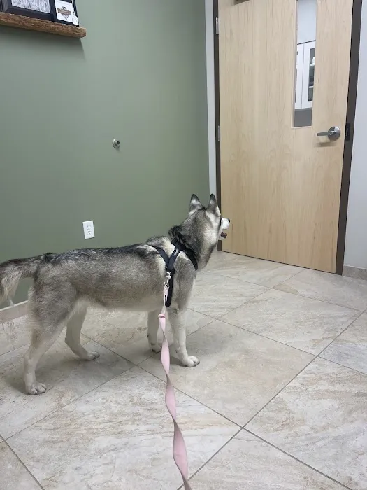 Cedar Animal Hospital 2