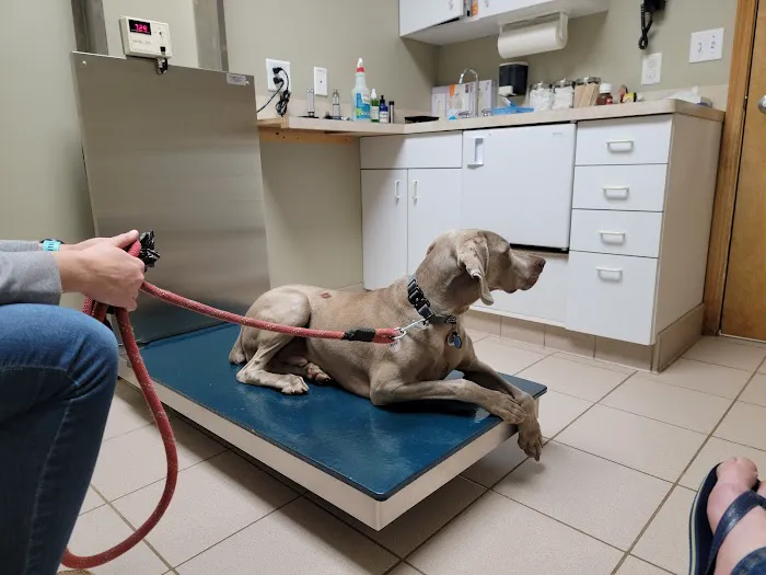Cedar Animal Hospital 7
