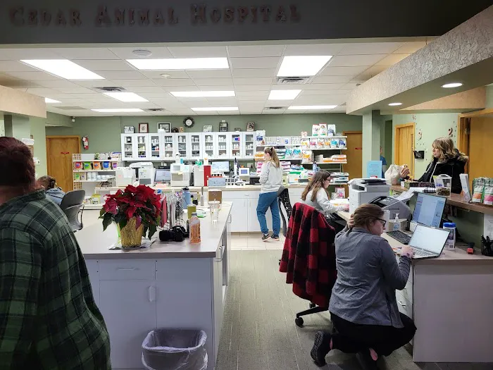 Cedar Animal Hospital 5