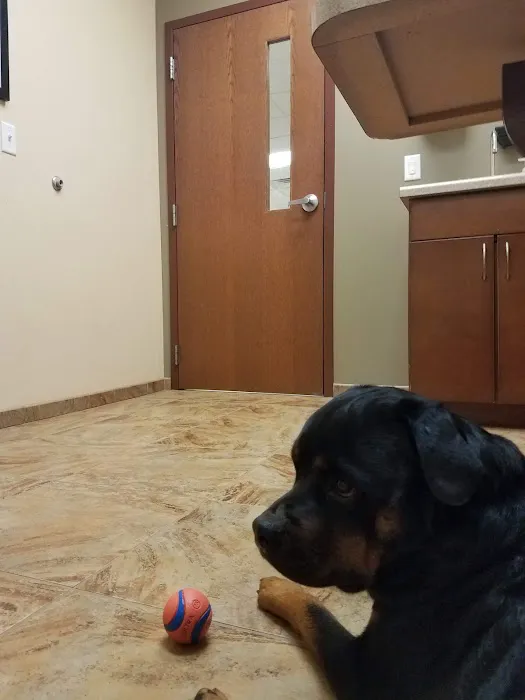 Rogue Valley Veterinary Hospital 4
