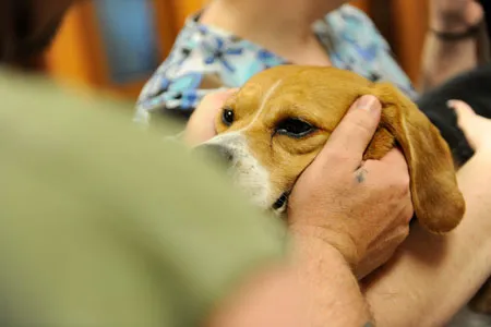 Rogue Valley Veterinary Hospital 3